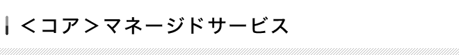 <コア>マネージドサービス